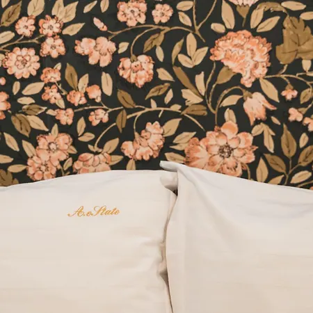 Apollonia Estate Old Town Big And Luxurious *