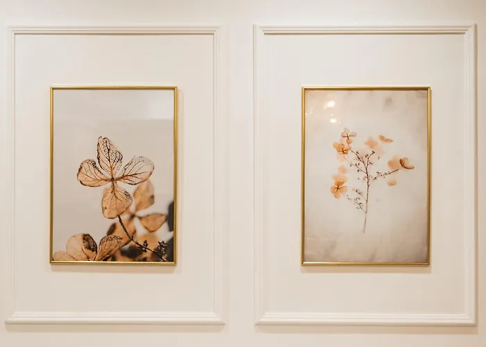 Apartment Apollonia Estate Old Town Big And Luxurious Brasov