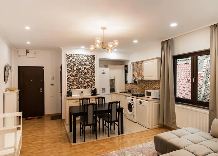 Apollonia Estate Old Town Big And Luxurious Apartment Brasov